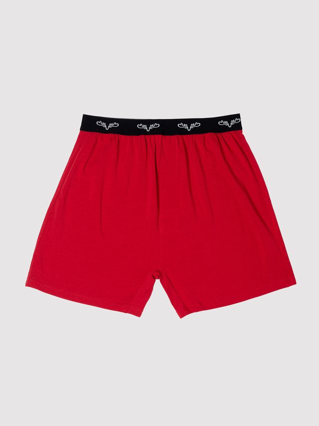 Moose Caboose Men's Boxers